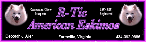 Rtic logo